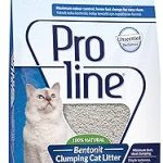 Kedi Kumu Bentonit 10L
