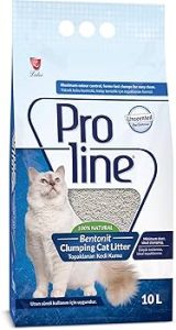 Kedi Kumu Bentonit 10L